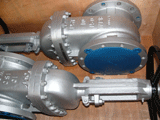 Gate valve 1